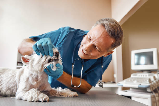 Best Walk-In Emergency Dentist in Bowling Green, KY
